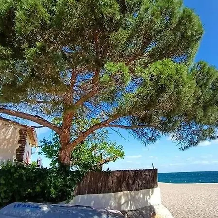 Climatise 2 Pieces Avec Piscine, Tennis Et Parking A 500m De La - Fr-1-776-73 * Argeles-sur-Mer