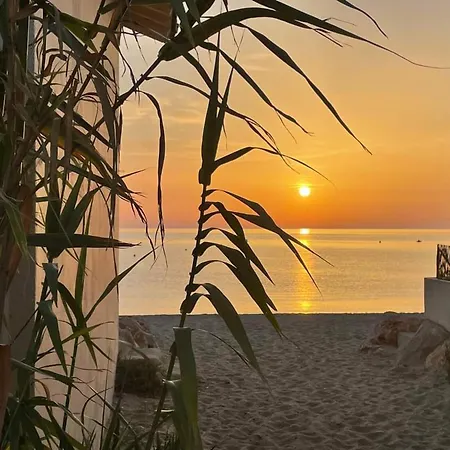 Lägenhet Climatise 2 Pieces Avec Piscine, Tennis Et Parking A 500m De La - Fr-1-776-73 Argelès-sur-Mer